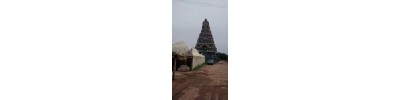 231. திருமாணிகுழி